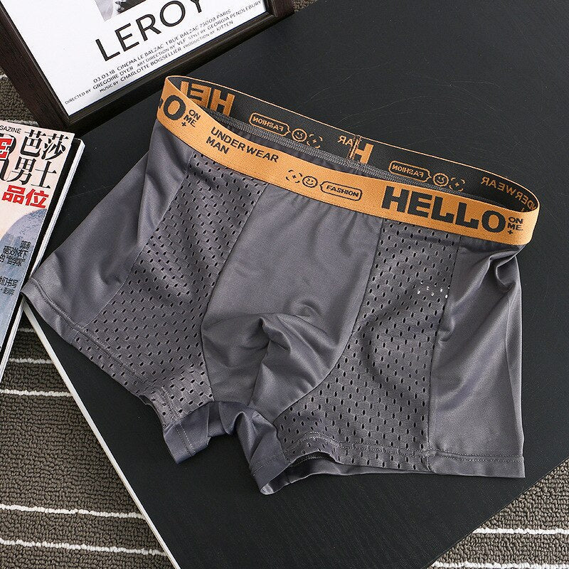 Hello Mesh Boxer
