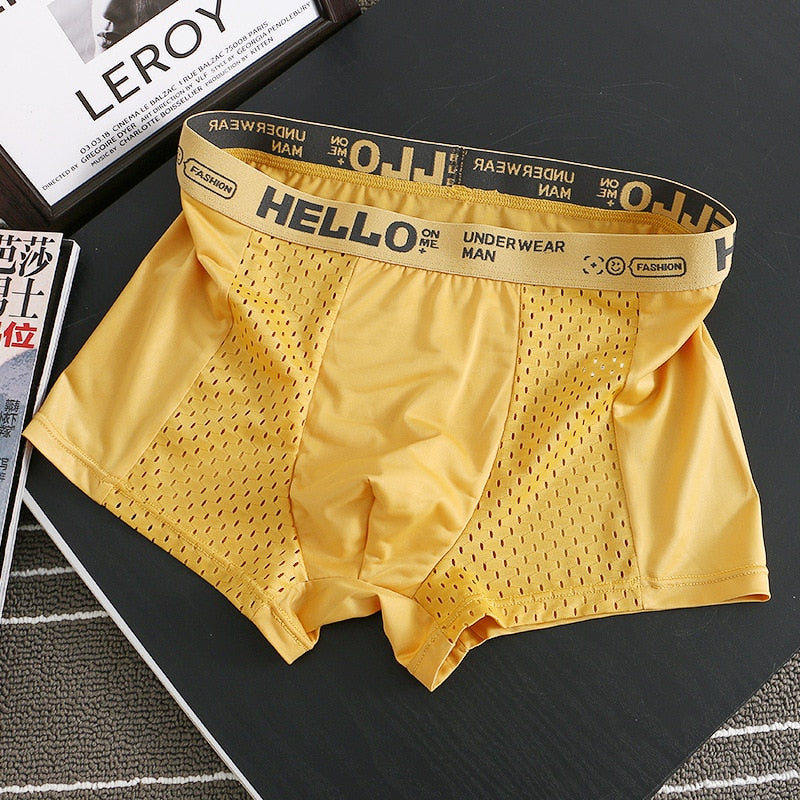 Hello Mesh Boxer